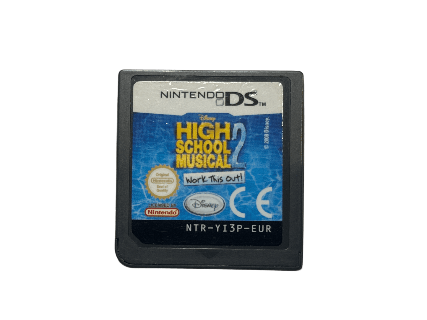 High school musical 2 Nintendo DS game
